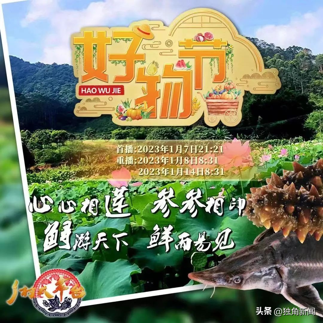 普兰店上央视,央视早间新闻大连