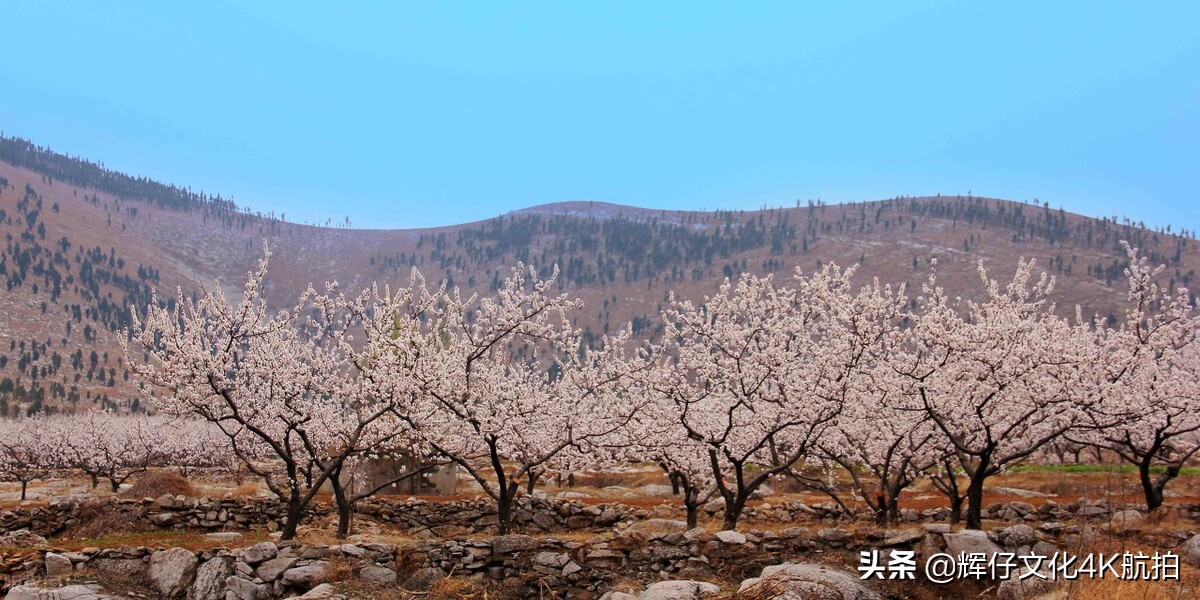 我国最西边帕米尔高原视频,中国与塔吉克斯坦的帕米尔高原