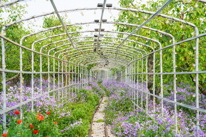 宿州两日游,宿州旅游攻略三日游