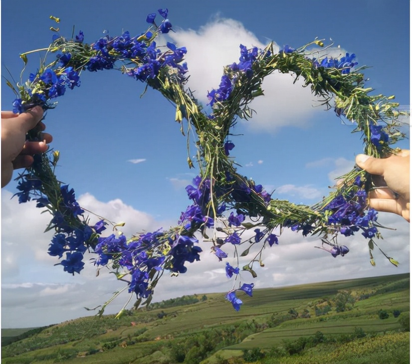 女博主买的奇葩名牌,女网红买的奇葩衣服