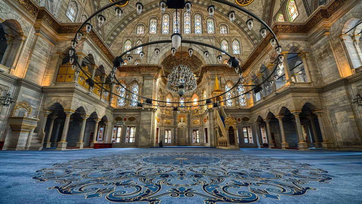 生吃蝌蚪有什么奇效,生吃蝌蚪有什么后果