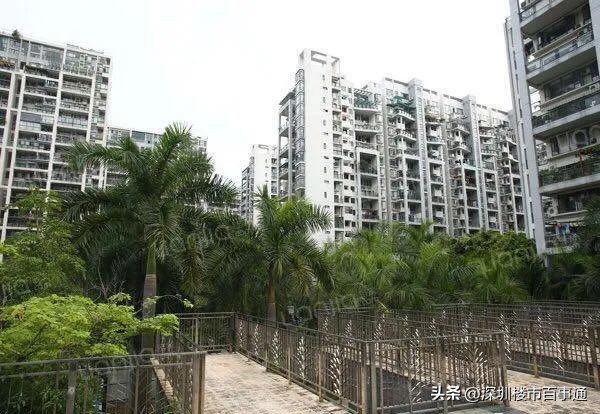 连载中：南山网红盘——鼎太风华（下）