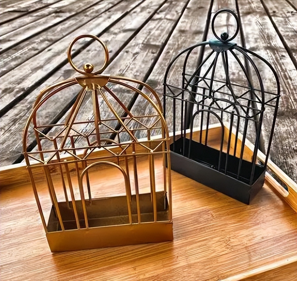 冷门却好用的家居神器,盘点那些外表新奇的家居神器