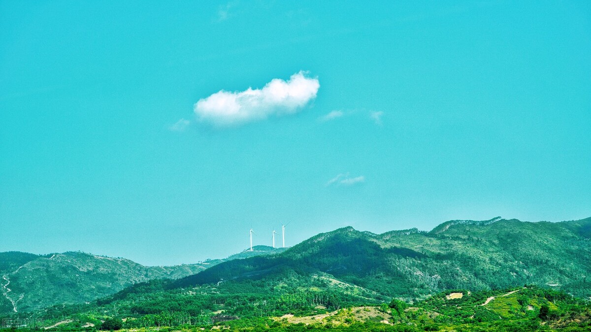 十二首诗词中的“佳人”，梅、月、荷、山，“风景四佳人”