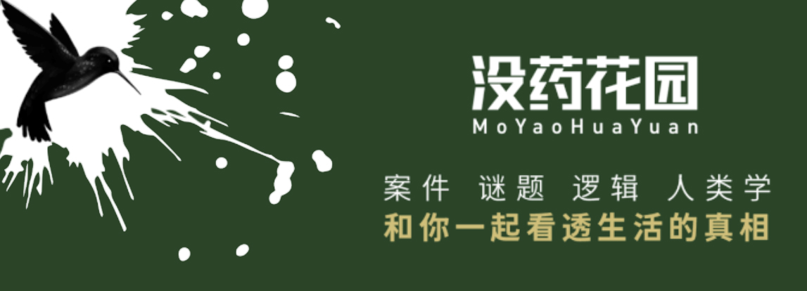08年美国超级*子骗**:靠忽悠进华尔街,骗婚女高管12年
