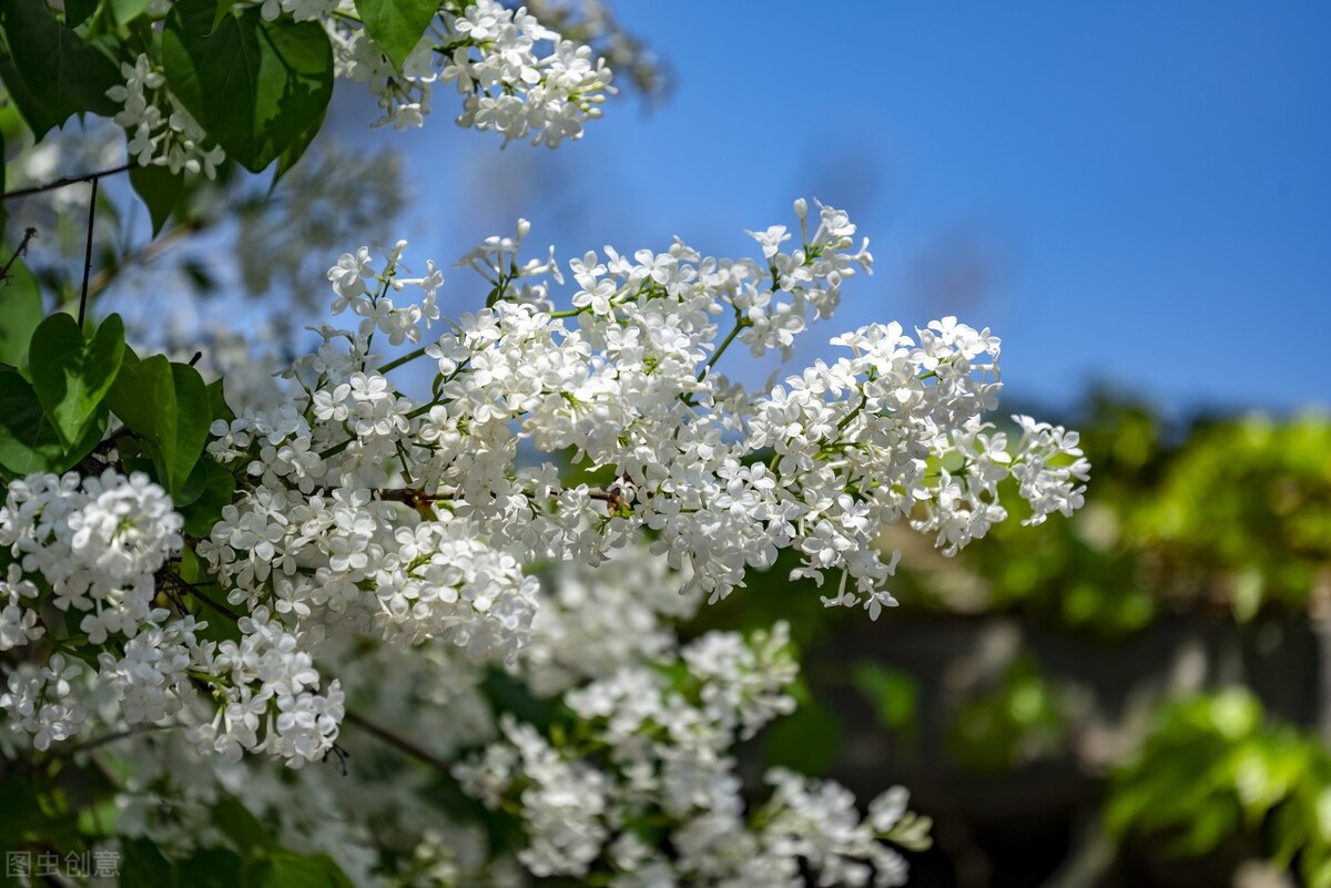 恋爱中如何让关系更进一步,如何快速跟人拉近距离