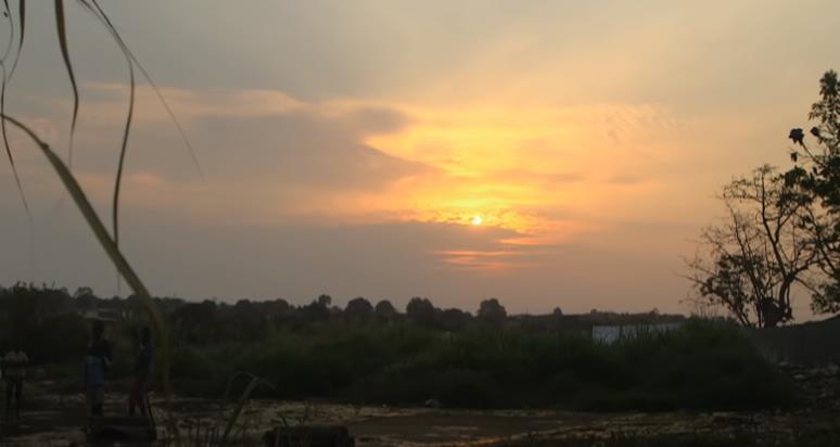 大学生伤熊事件是什么时候,大学生伤熊事件真实视频