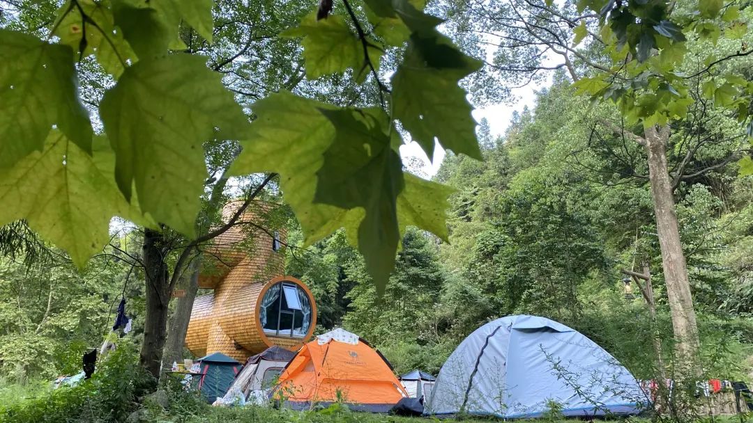 金佛山景区内温泉,金佛山温泉度假村泡温泉