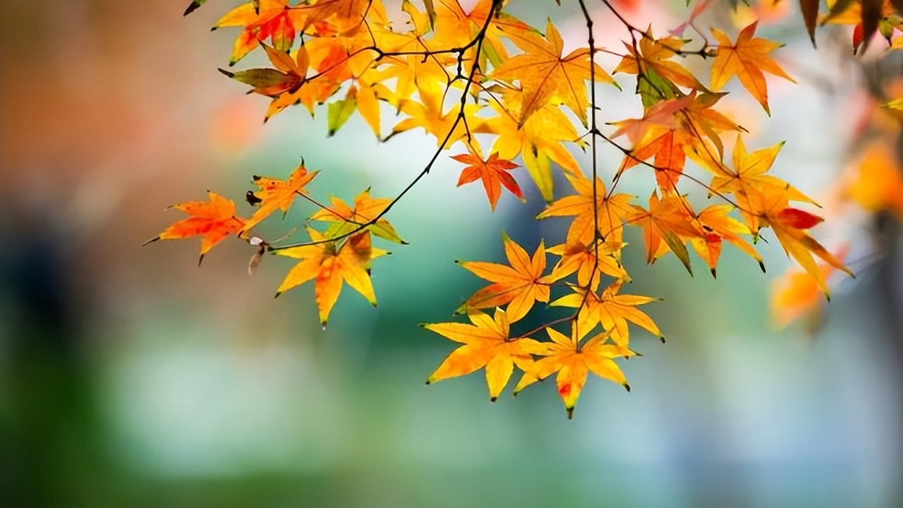 关于生活的10个真相，赶走你所有矫情