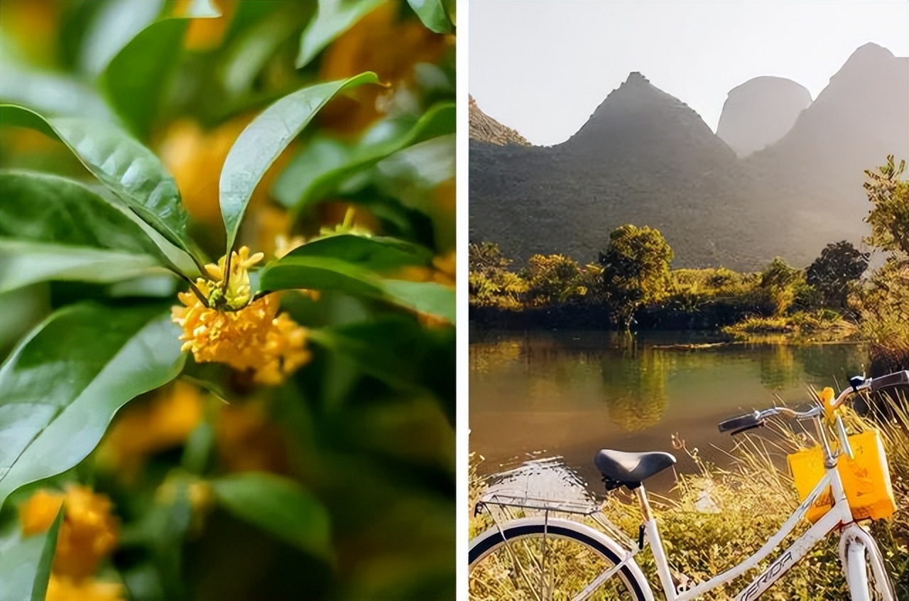 阳朔山水秘境c位美宿,阳朔潼乡酒店