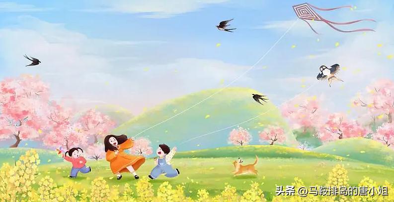 风筝的人生哲理散文,风筝放飞心灵的视频