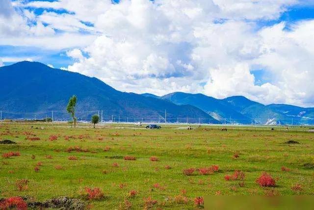 去云南旅游应避免哪些坑,去云南旅游防止被骗去缅甸