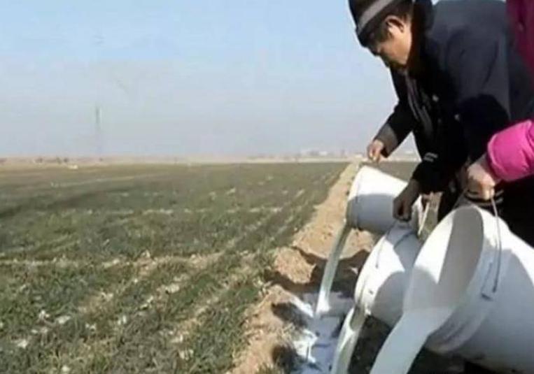 日本人在山东租了1500亩地,日本人在山东租地1500亩现状