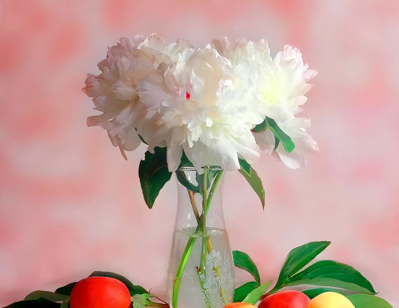 我的前半生罗子君抢闺蜜男友,我的前半生罗子君找到证据