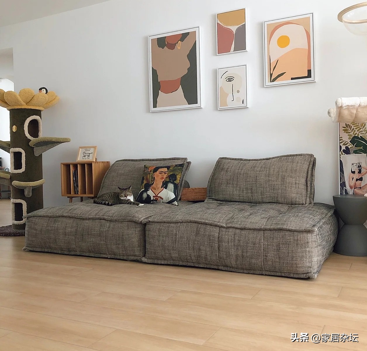 家具替代品的替代能力有哪些,这6款家居小物不建议买贵的