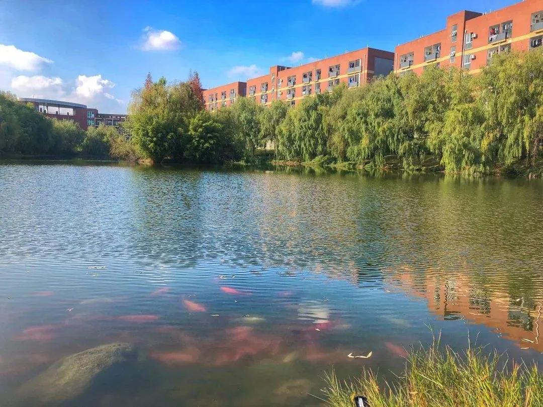 为什么选择西南财经大学天府学院？