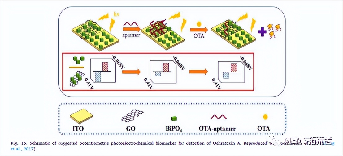 基于电位计的生物传感器进行生物标志物检测的研究进展（下篇）