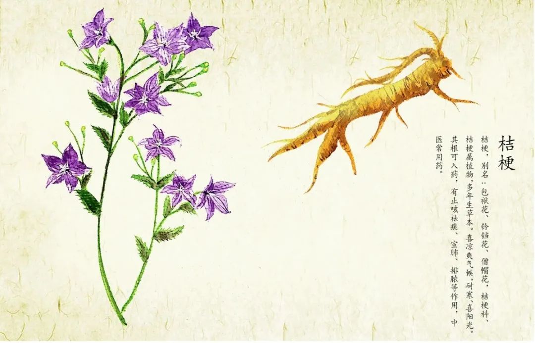 阳了不发烧可以刮痧吗,全息刮痧退烧