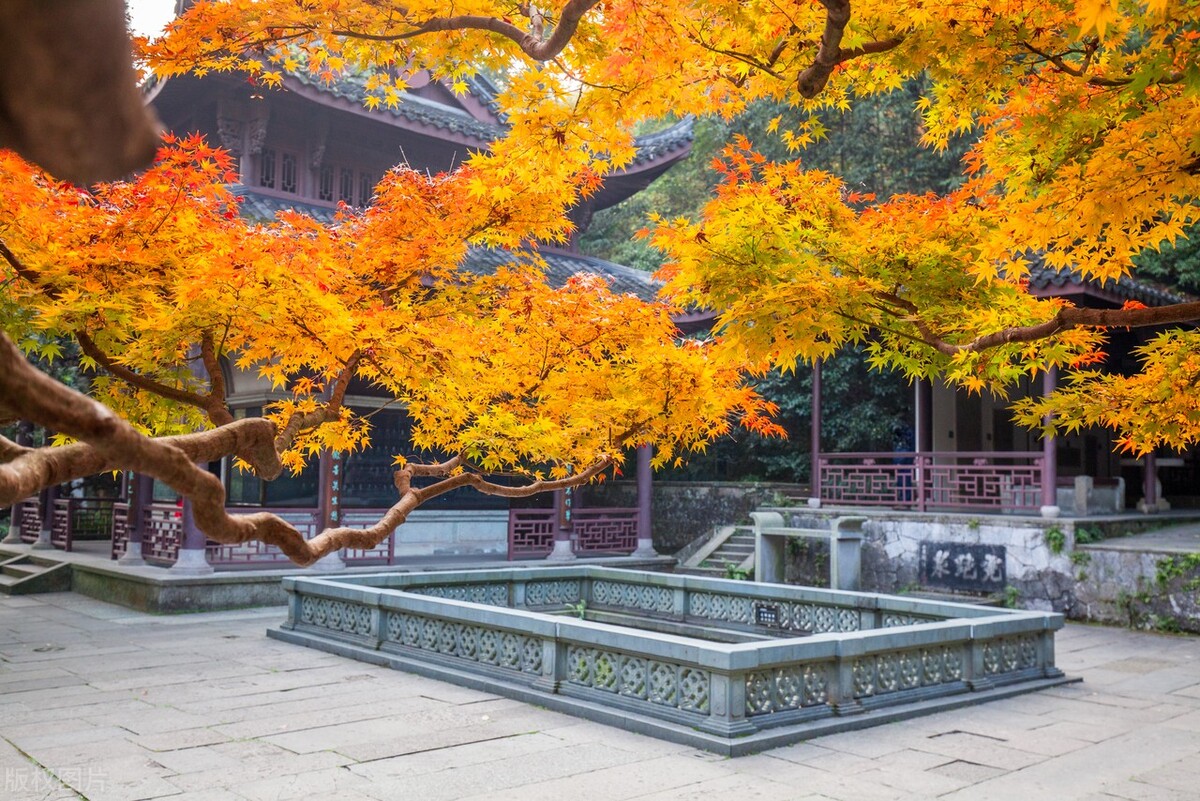 部编版九上语文目录,送东阳马生序原文