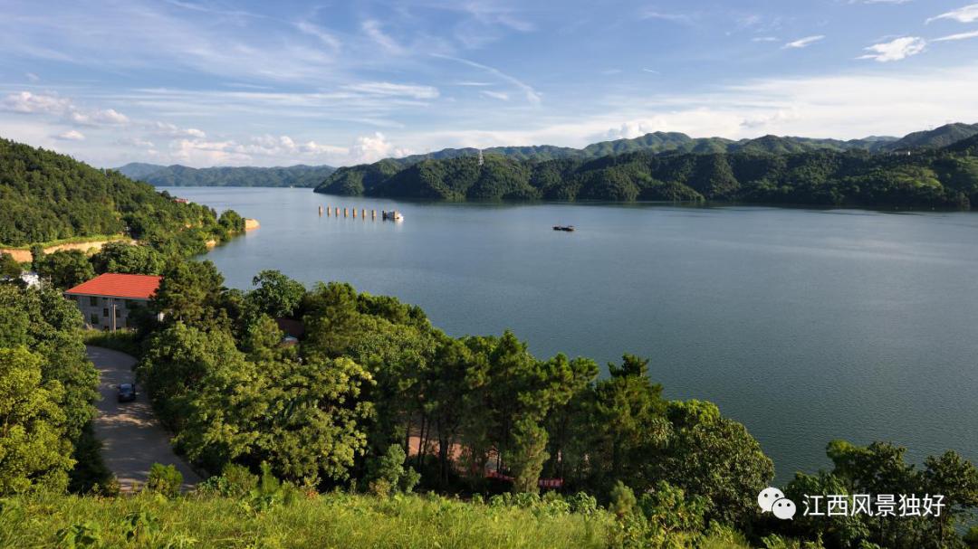 七论赣菜发展,朱虹论赣菜