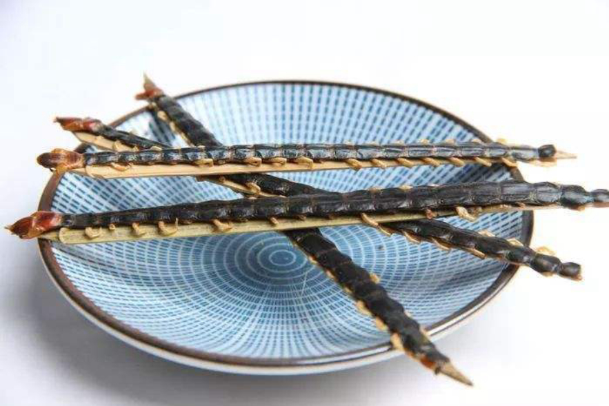 五毒之一的蜈蚣为什么怕公鸡,公鸡为什么能打败蜈蚣