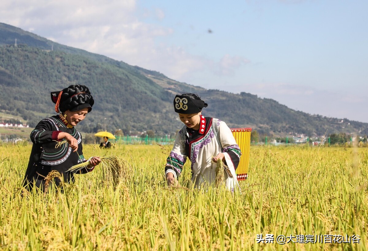 未来富人的财富,真正的富人都是怎样的