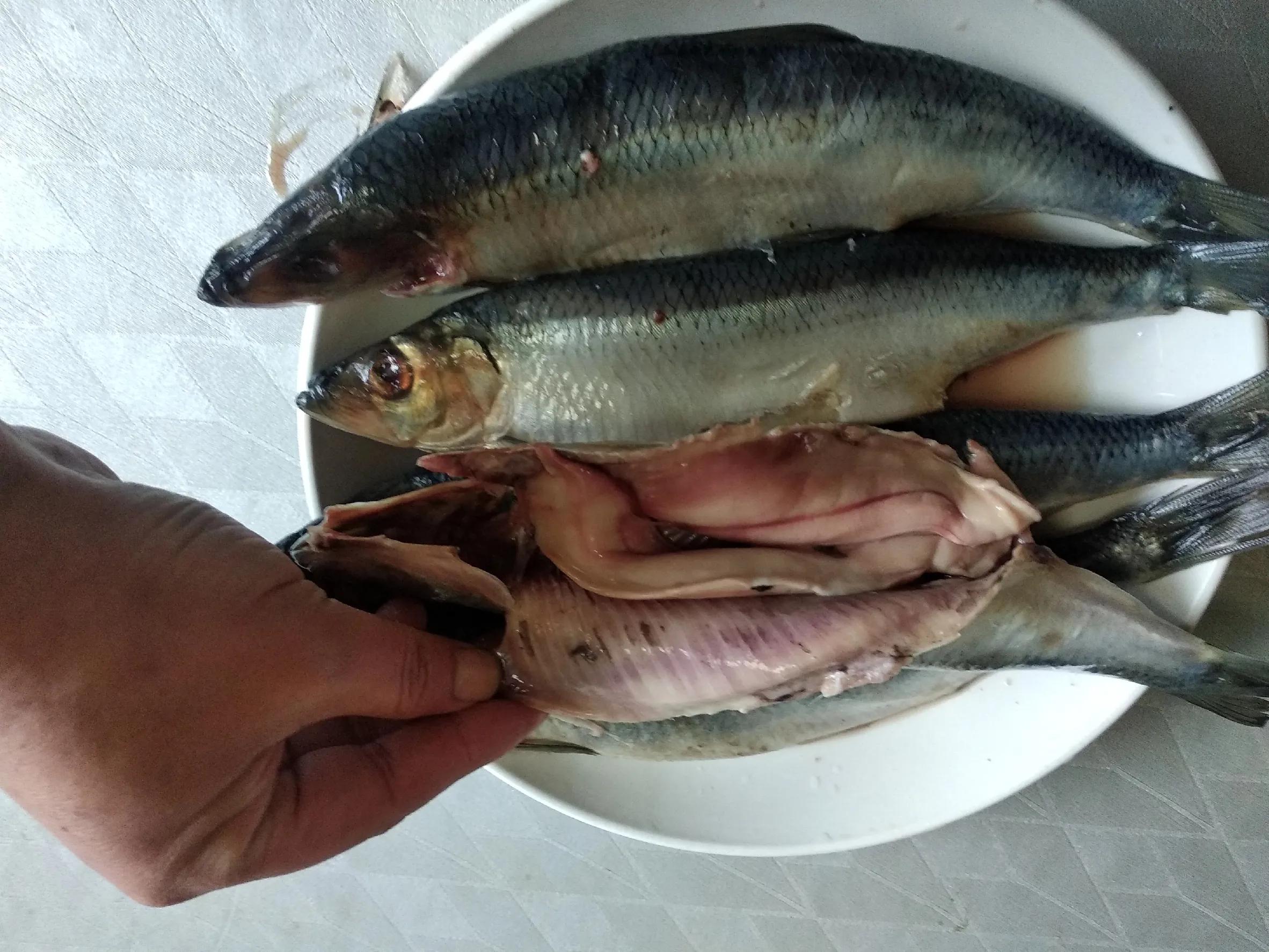 夏天吃海鱼，内行专挑这5种，肉鲜不腥无法养殖，摊主都夸是行家