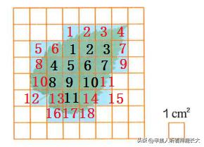 数学课本六年级下册第88~89页部分题目解析（2023年版）