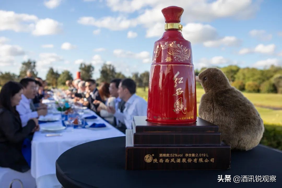 西凤发力高端化推进名酒复兴,酒讯策划泸州老窖