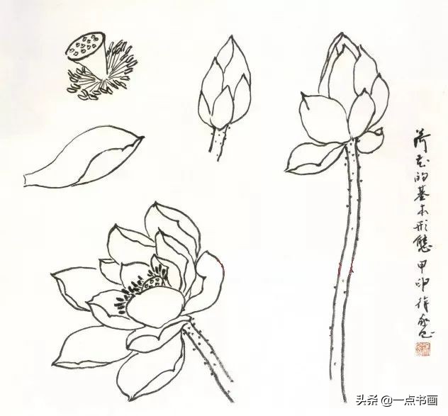 鍥界敾鑽疯姳鐢绘硶瑙嗛,娉煎ⅷ鑽疯姳鐢绘硶瑙嗛