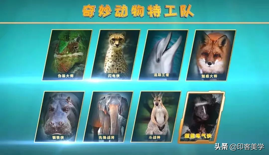 科教神片全集,儿童应该看的8部科教片