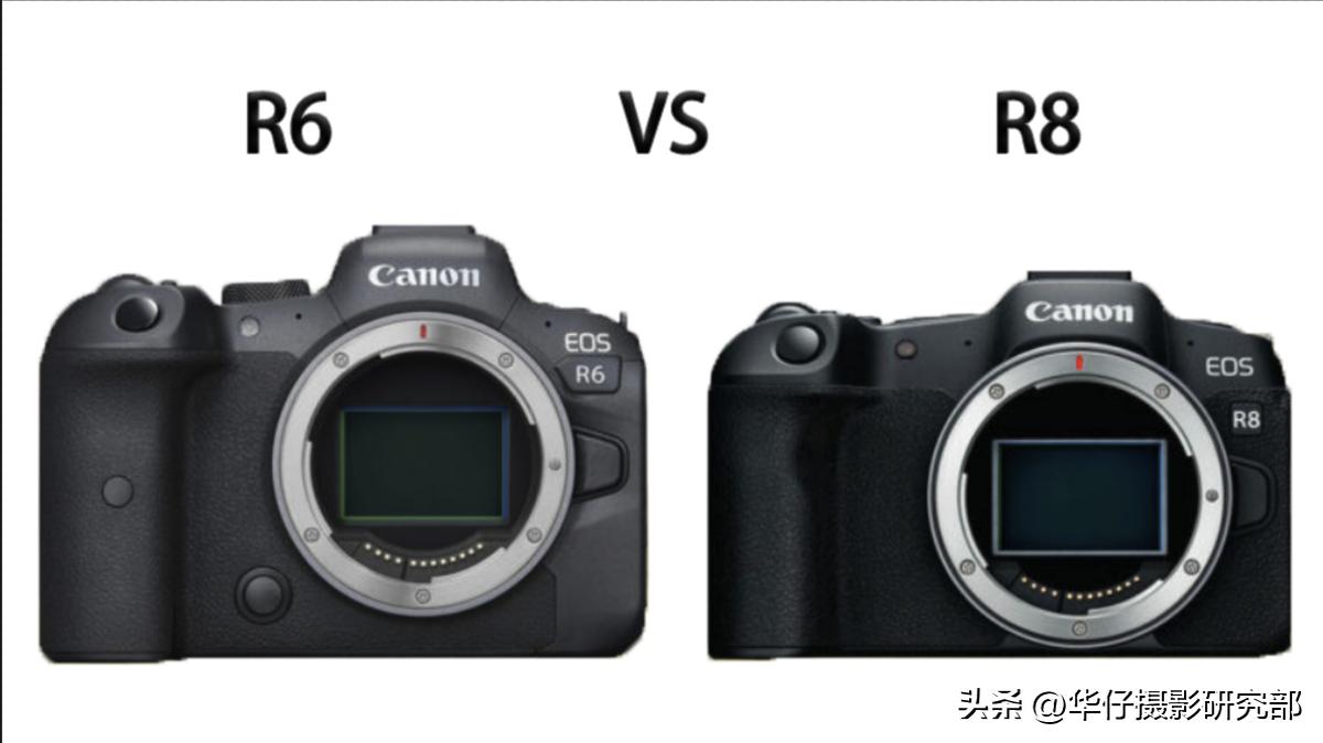 佳能eosr6和r8测评,佳能eosr8和eosr6哪个好