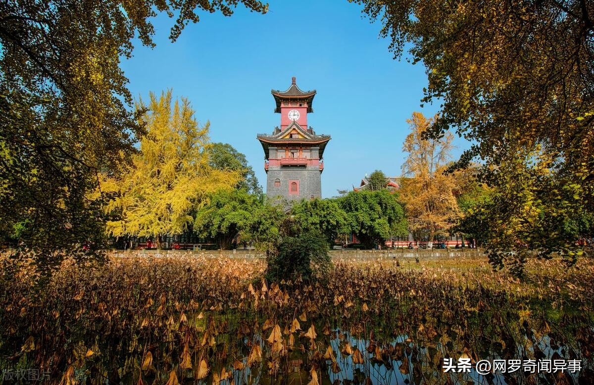 杭州和成都哪个城市更胜一筹,成都对比杭州究竟谁更胜一筹