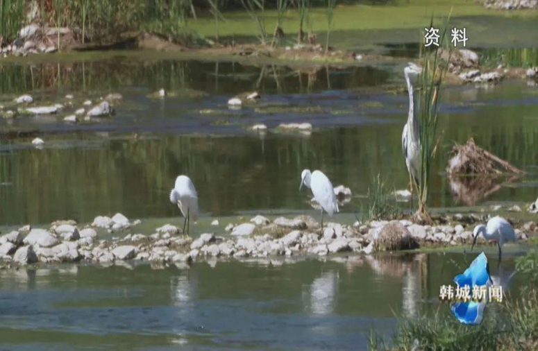 2023年5月第二周新闻中的韩城事（组图）