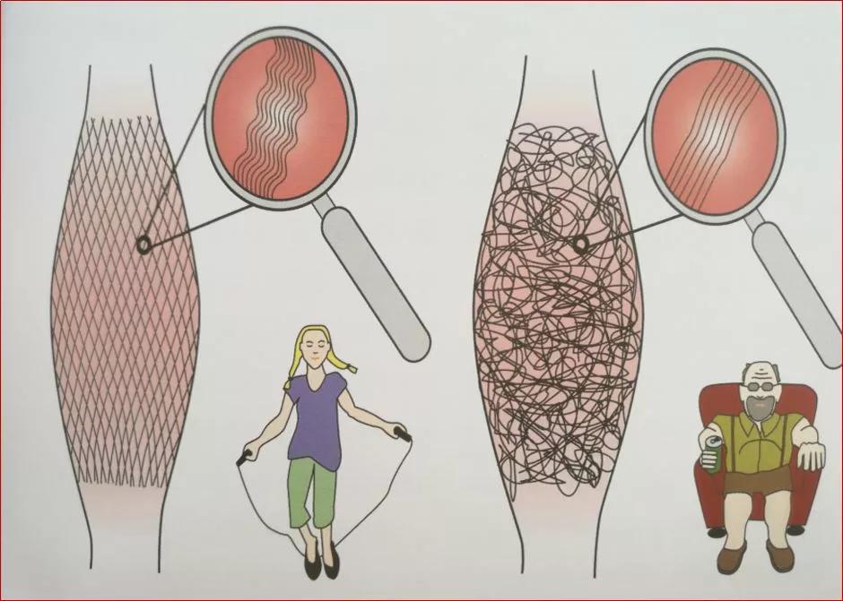 中医筋膜刀筋膜修复疗法,十大筋膜疗法