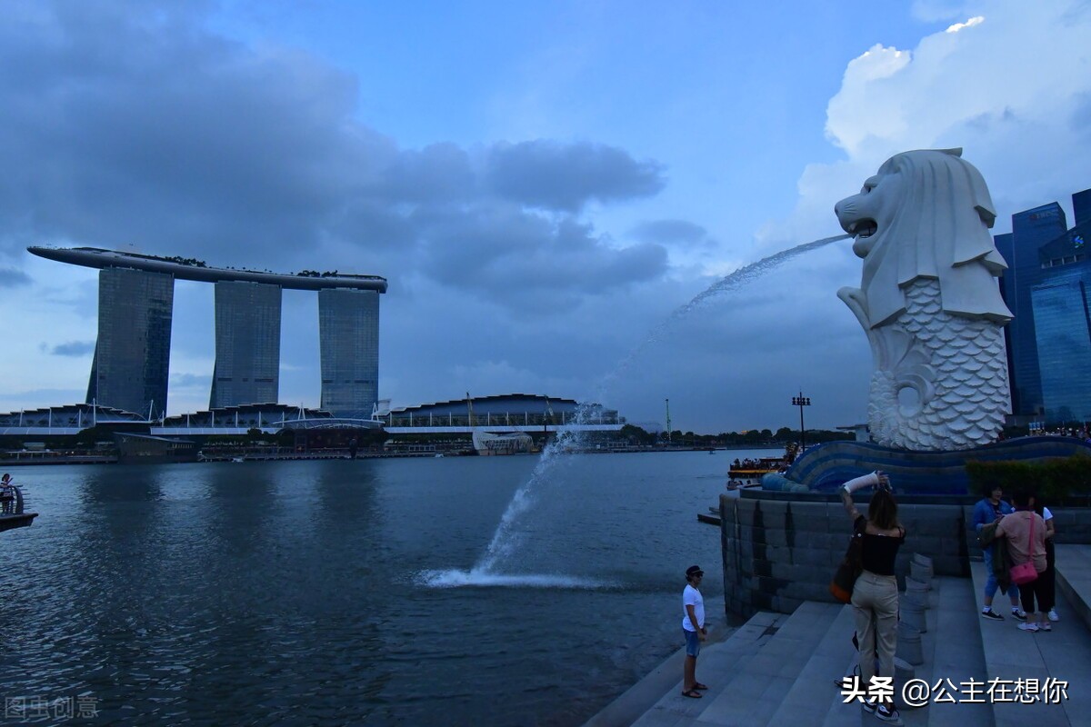 新加坡7个冷知识英文,世界上养猫最多的国家