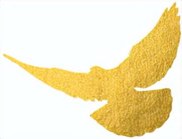 你了解哪些宪法的知识,关于宪法你了解了哪些知识