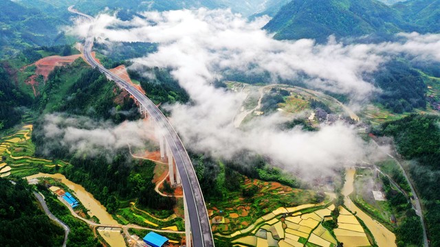 消博会新品集中发布跨境对接活跃,消博会上看国人消费转型升级