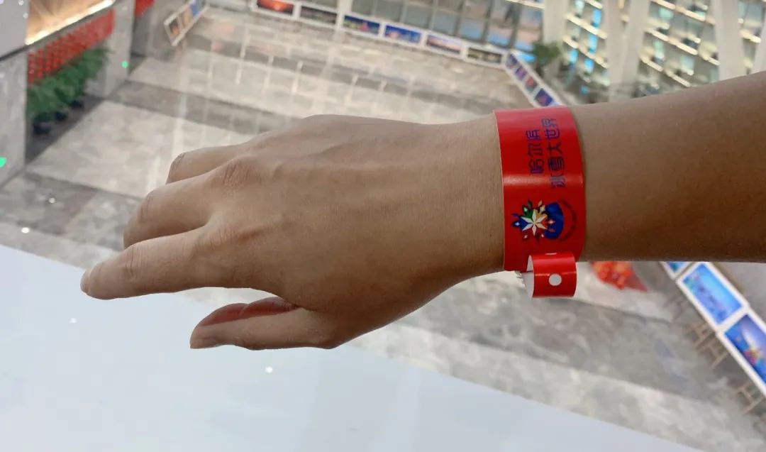 哈尔滨冰雪大世界里面臻享怎么买,冰雪大世界畅享票和臻享票怎么买