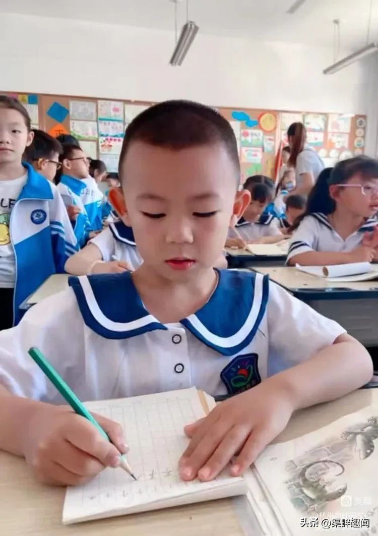 聚焦德育活动促学生全面发展,聚焦入学助力儿童成长公开课