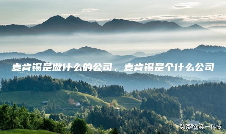 麦肯锡公司是一家什么公司,麦肯锡是几线咨询公司