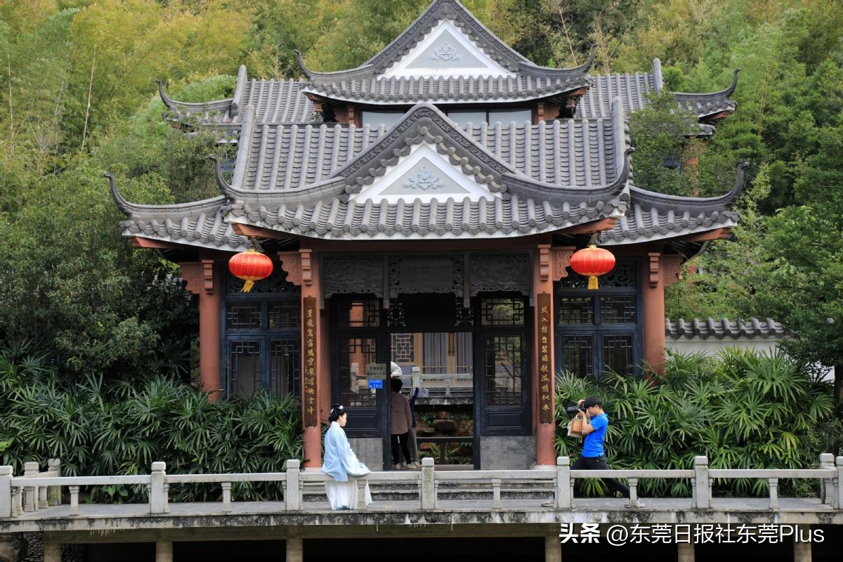 东莞人民公园真美,东莞人民公园故地重游