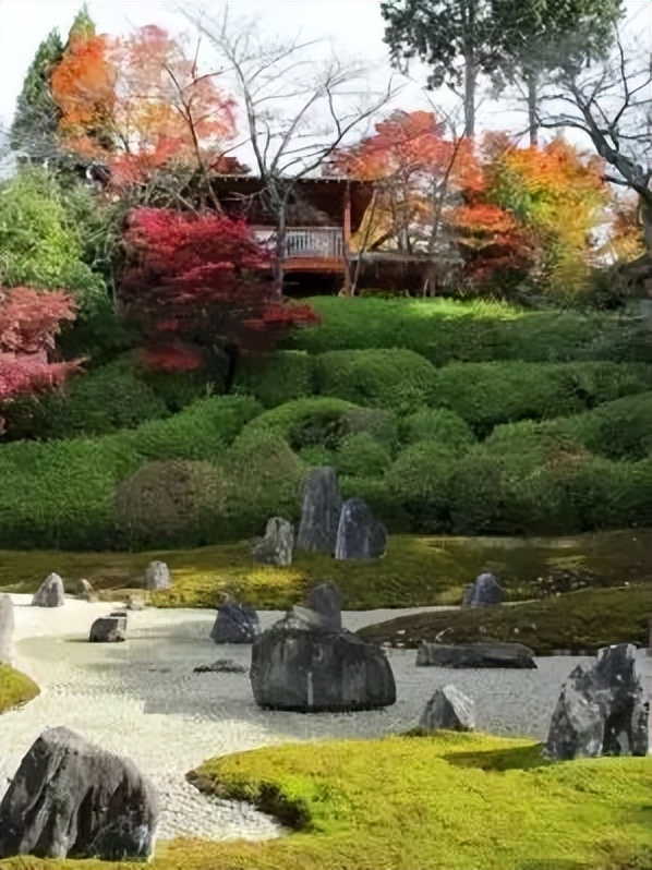 日本枯山水景观,日本枯山水中的树是什么树