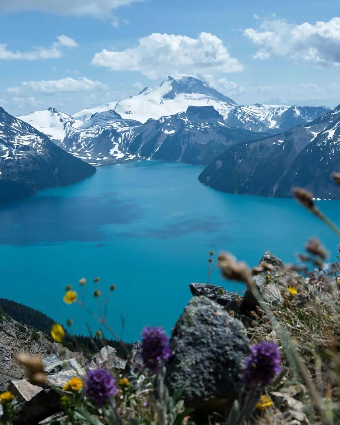 抢不到冰墩墩是什么梗,冬奥会冰墩墩2022