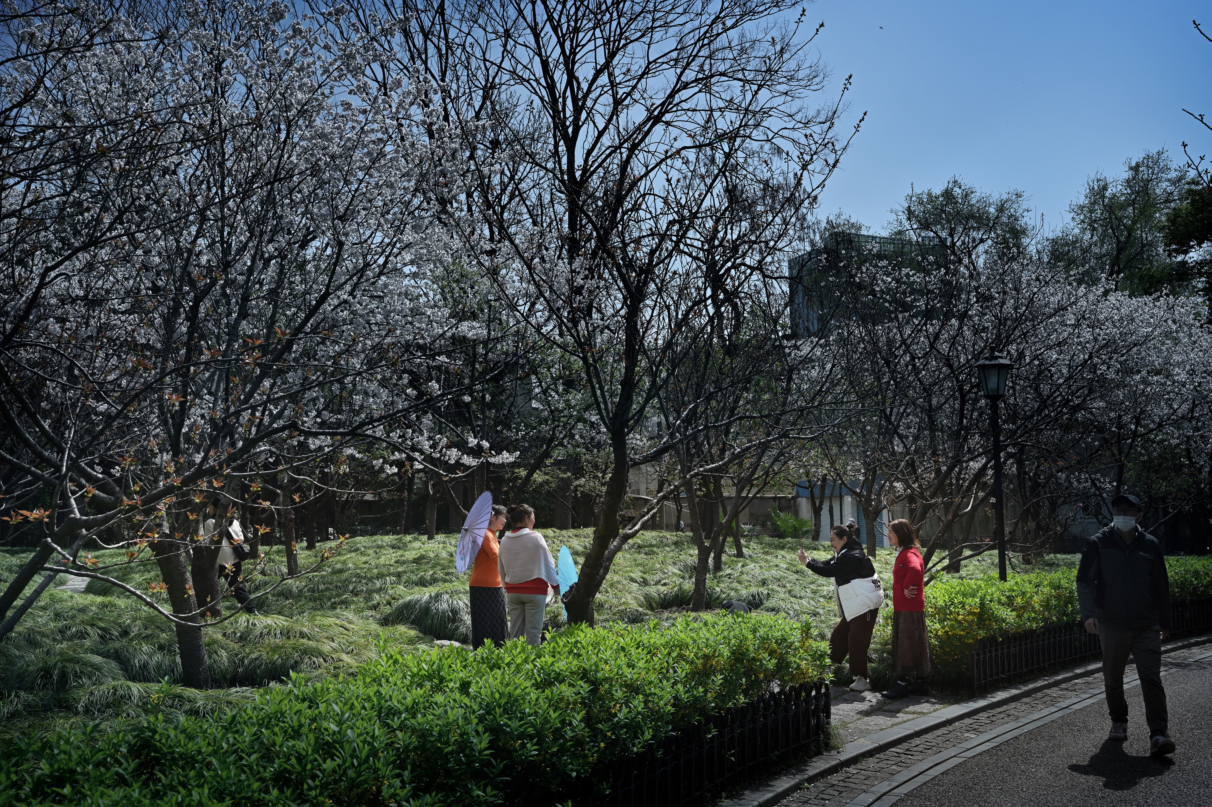 目前的上海中山公园,最新上海中山公园介绍