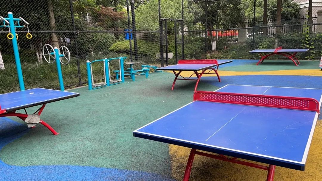 杭州最著名篮球场,杭州最著名的篮球场