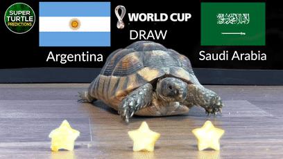 大熊猫成功“预测”日本战胜德国,大熊猫预测四场球赛