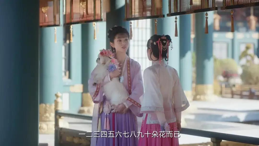 《卿卿日常》里的姑娘们都成了闺蜜