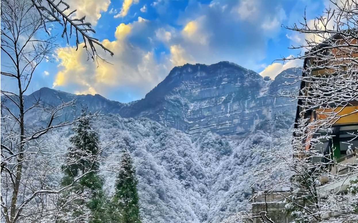 重庆金佛山旅游全攻略,暑假重庆南川金佛山旅游攻略