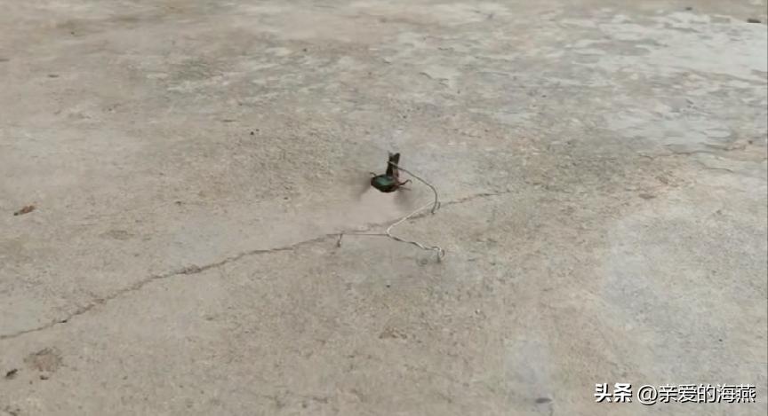 小班益智区自制玩具100例简单,如何给小孩自制不容易损坏的玩具